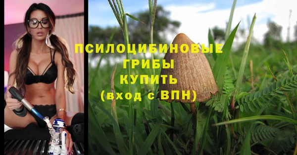 ГАЛЛЮЦИНОГЕННЫЕ ГРИБЫ Козельск