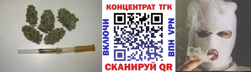 Купить где Глазов ТГК концентрат