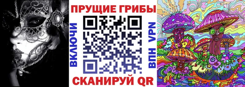 Галлюциногенные грибы Psilocybe  Купить  Глазов 